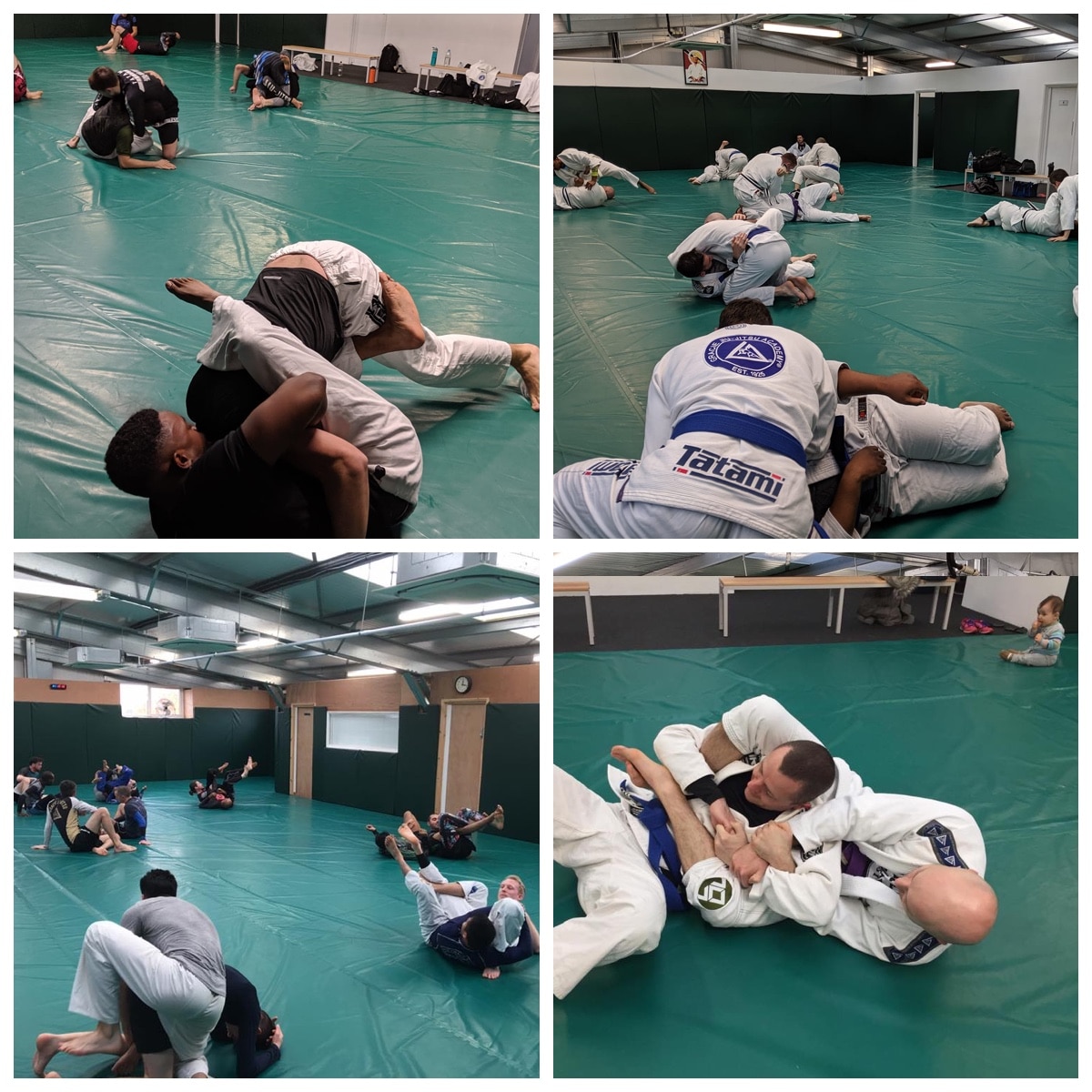 Gracie Advanced