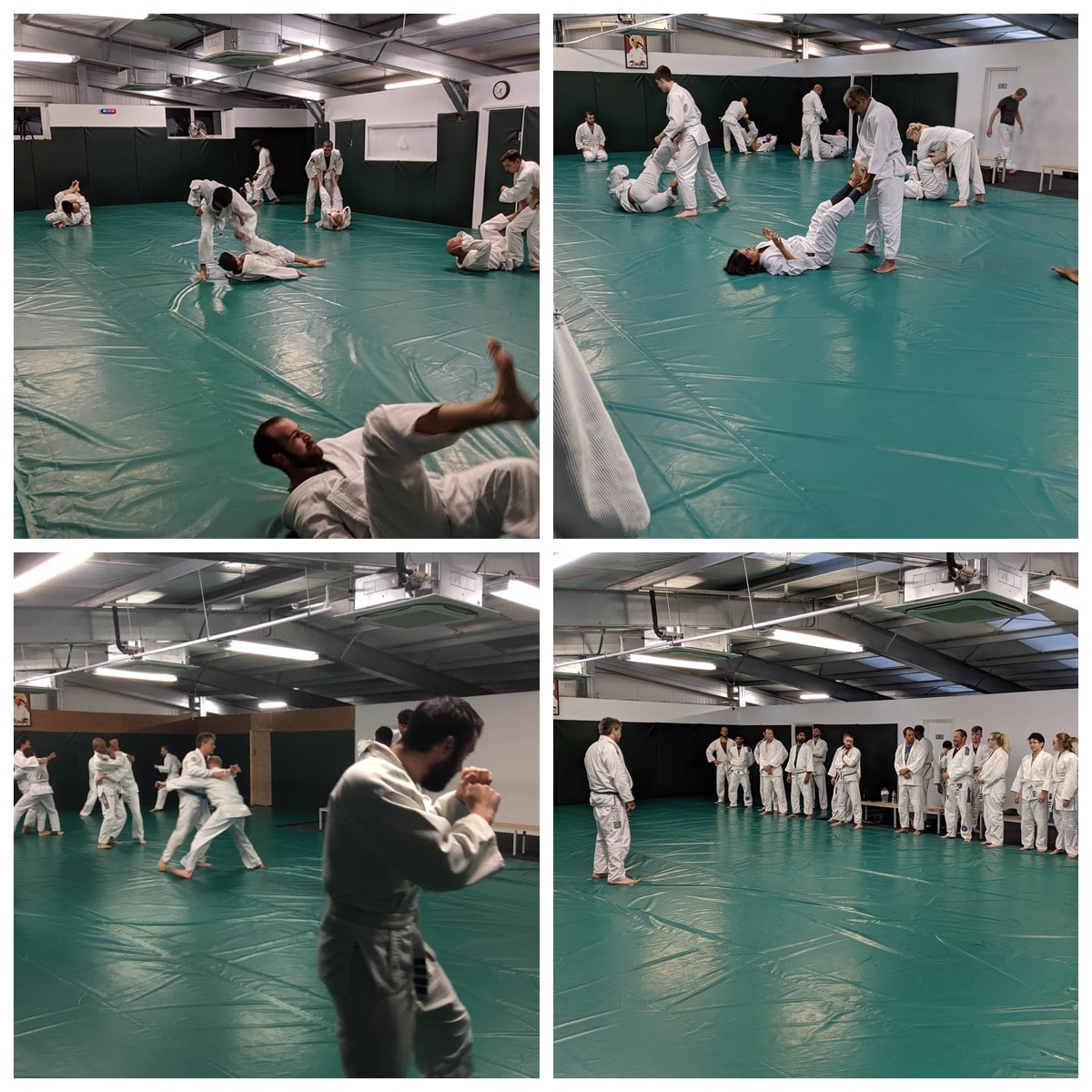 Gracie Fundamentals